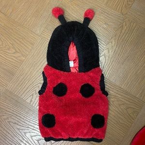 Lady bug costume